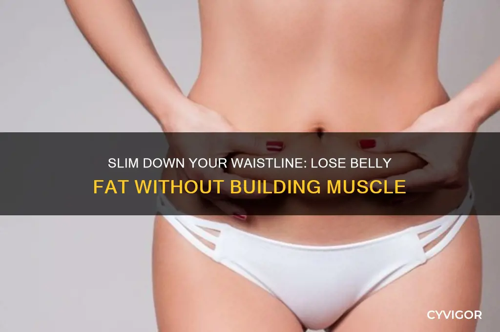 how to lose belly fat without gaining muscle