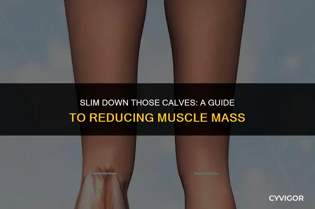 how to lose big calf muscles
