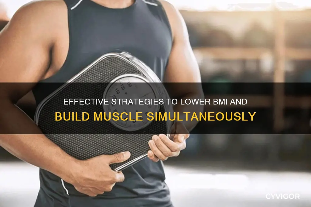 how to lose bmi and gain muscle