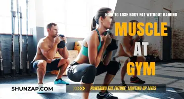 Slim Down, Stay Lean: Fat Loss Without Muscle Gain at the Gym