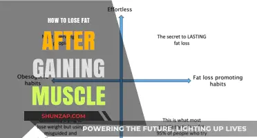 Shedding Fat Post Muscle Gain: Effective Strategies for a Lean Physique