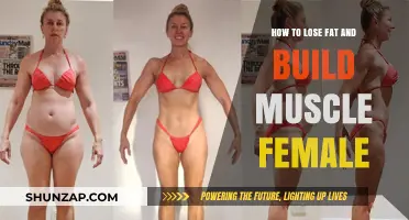 Transform Your Physique: A Female Guide to Fat Loss and Muscle Gain