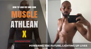 Athlean X Secrets: Lose Fat, Build Muscle, Transform Your Body