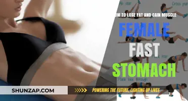 Fast Female Fat Loss: Sculpting a Toned Stomach and Building Muscle