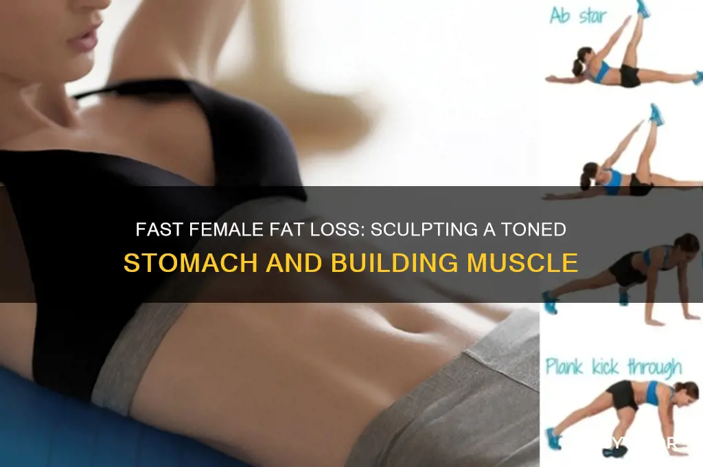 how to lose fat and gain muscle female fast stomach