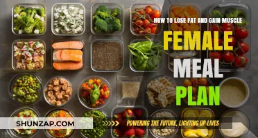 Effective Female Meal Plan for Fat Loss and Muscle Gain