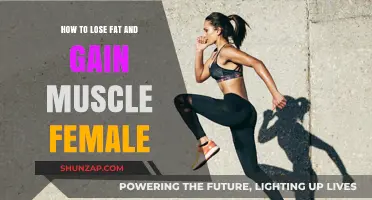 Effective Strategies for Women to Lose Fat and Build Muscle