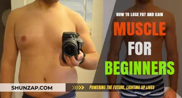 Beginner's Guide: Lose Fat, Build Muscle, Transform Your Body
