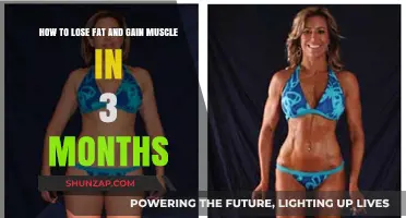 Transform Your Body: 3-Month Fat Loss & Muscle Gain Plan