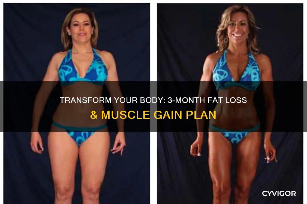 how to lose fat and gain muscle in 3 months
