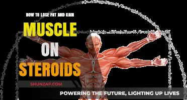 Steroids for Fat Loss and Muscle Gain: A Comprehensive Guide