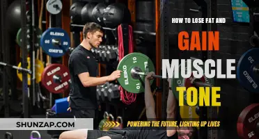 Effective Strategies for Fat Loss and Muscle Toning Success