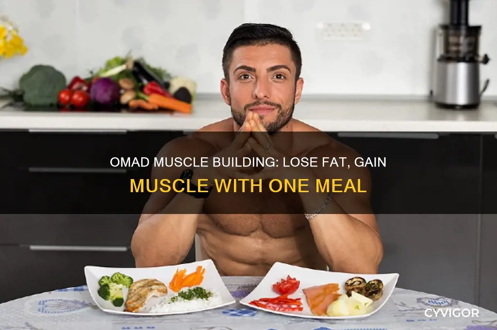 how to lose fat and gain muscle while omad