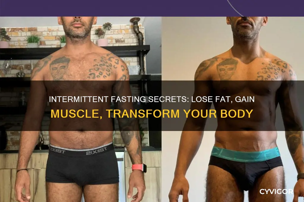 how to lose fat and gain muscle with intermittent fasting