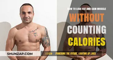 Build Muscle, Burn Fat: Calorie-Free Strategies for Transforming Your Body