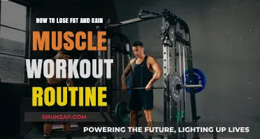 Effective Workout Routine to Lose Fat and Build Muscle Fast