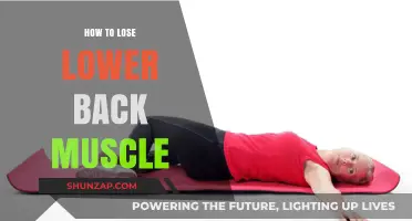 Tone Your Lower Back: Effective Exercises for Muscle Definition