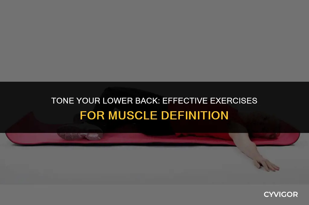 how to lose lower back muscle