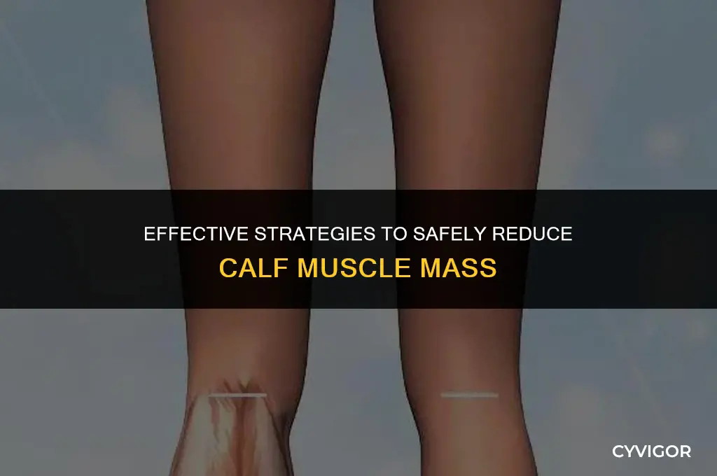 how to lose most calf muscle possible