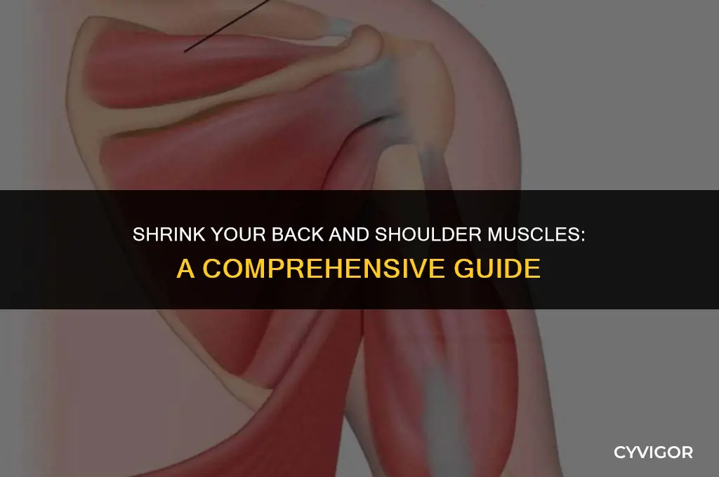 how to lose muscle in back shoulder