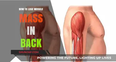 Effective Strategies to Reduce Muscle Mass in Your Back