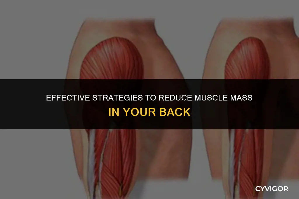 how to lose muscle mass in back