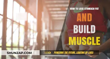 Transform Your Physique: Stomach Fat Loss and Muscle Building Guide