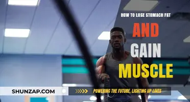 Effective Strategies to Shed Belly Fat and Build Lean Muscle