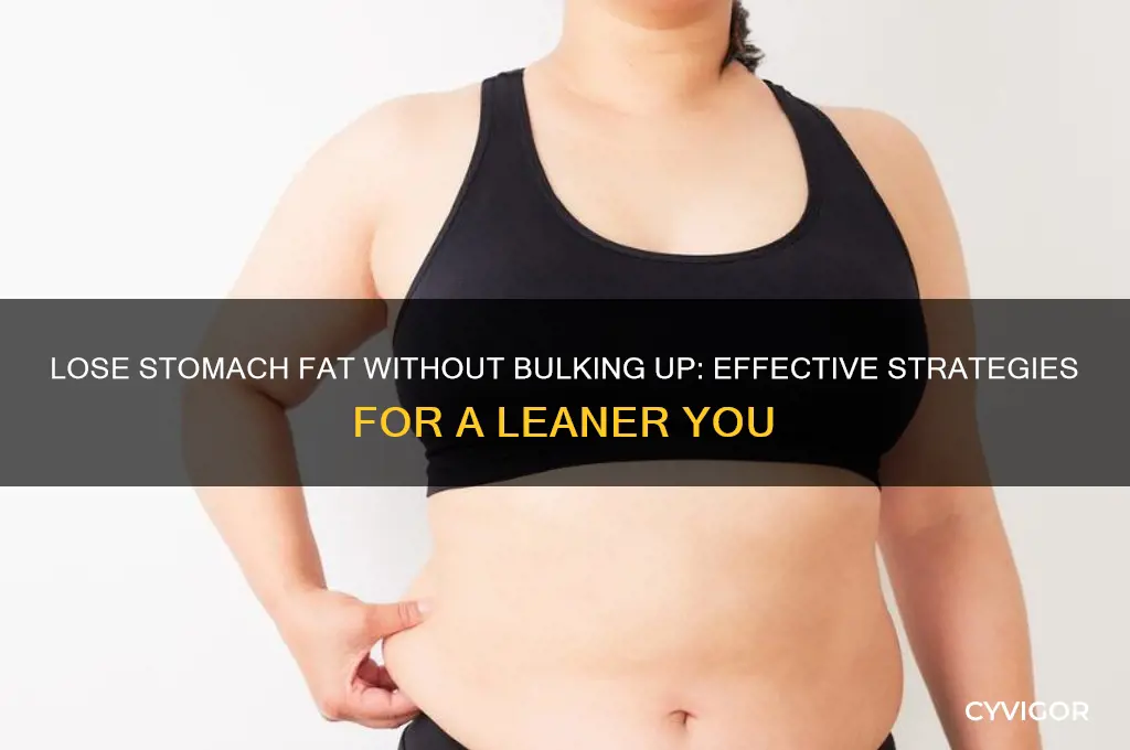 how to lose stomach fat without gaining muscle workouts
