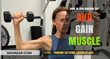 Burn Visceral Fat, Build Muscle: Effective Strategies for a Leaner Physique