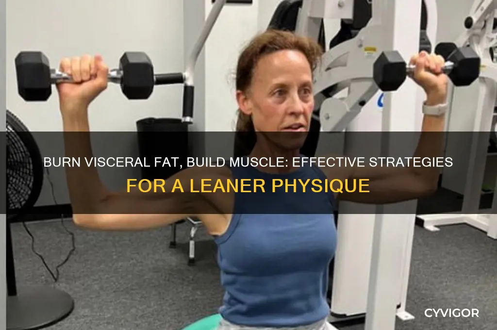 how to lose visceral fat and gain muscle