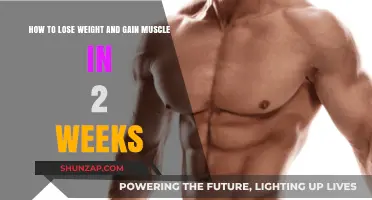 Effective 2-Week Plan: Lose Weight, Gain Muscle Fast