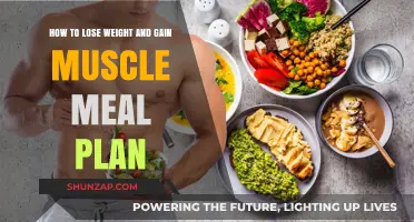 Effective Meal Plan for Weight Loss and Muscle Gain