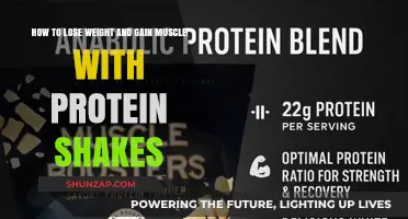 Protein Shakes: Your Ultimate Guide to Weight Loss and Muscle Gain