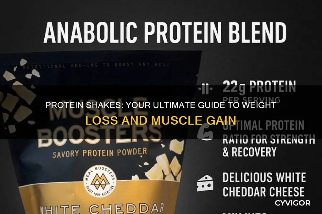 how to lose weight and gain muscle with protein shakes