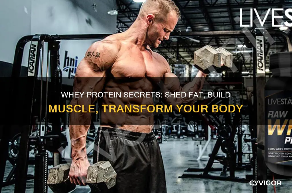 how to lose weight and gain muscle with whey protein