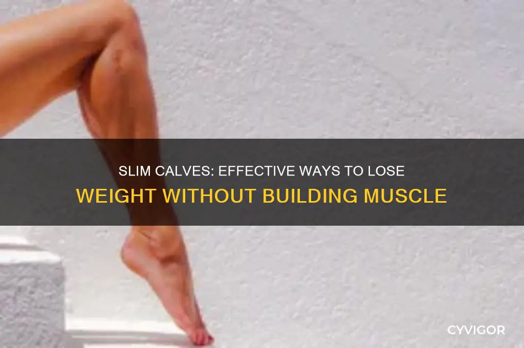 how to lose weight in calves without gaining muscle