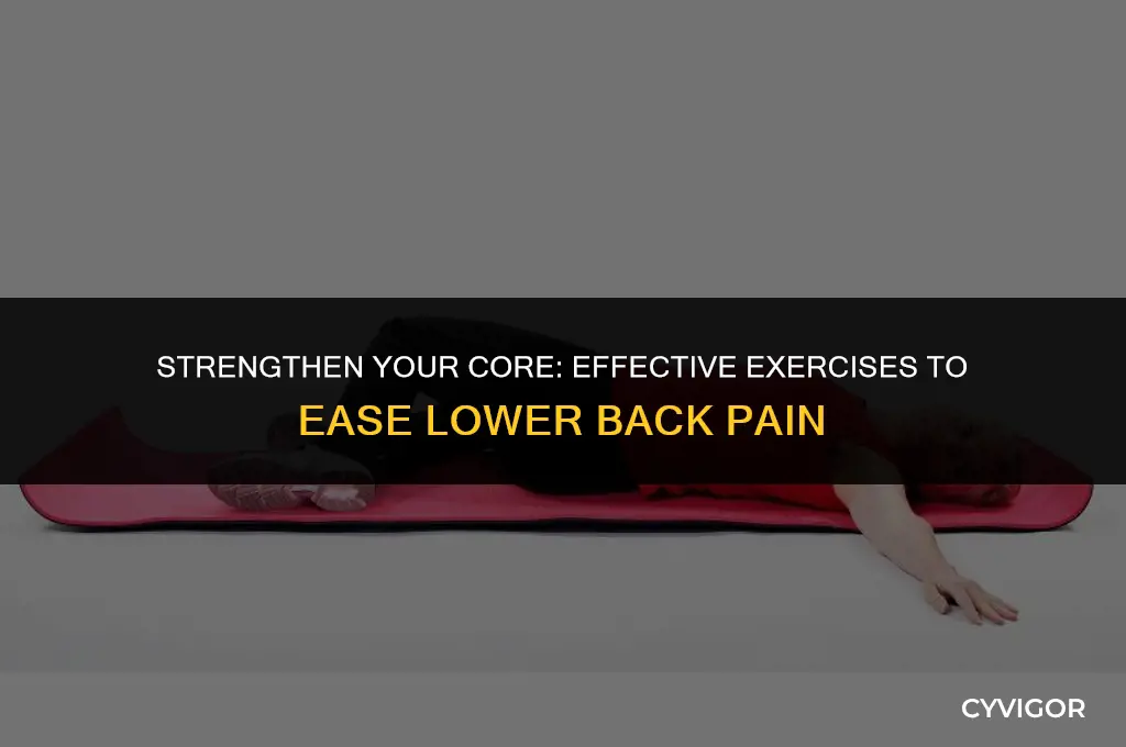 how to lower back muscles
