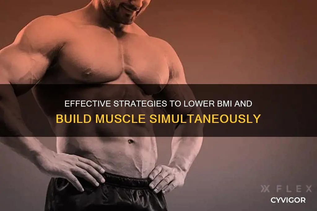 how to lower bmi and gain muscle