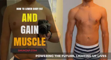 Effective Strategies to Shed Body Fat and Build Lean Muscle
