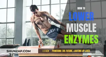 Lowering Muscle Enzymes: Natural Ways to Speed Up Recovery