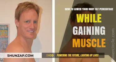 Build Muscle, Burn Fat: Strategies for Optimal Body Composition
