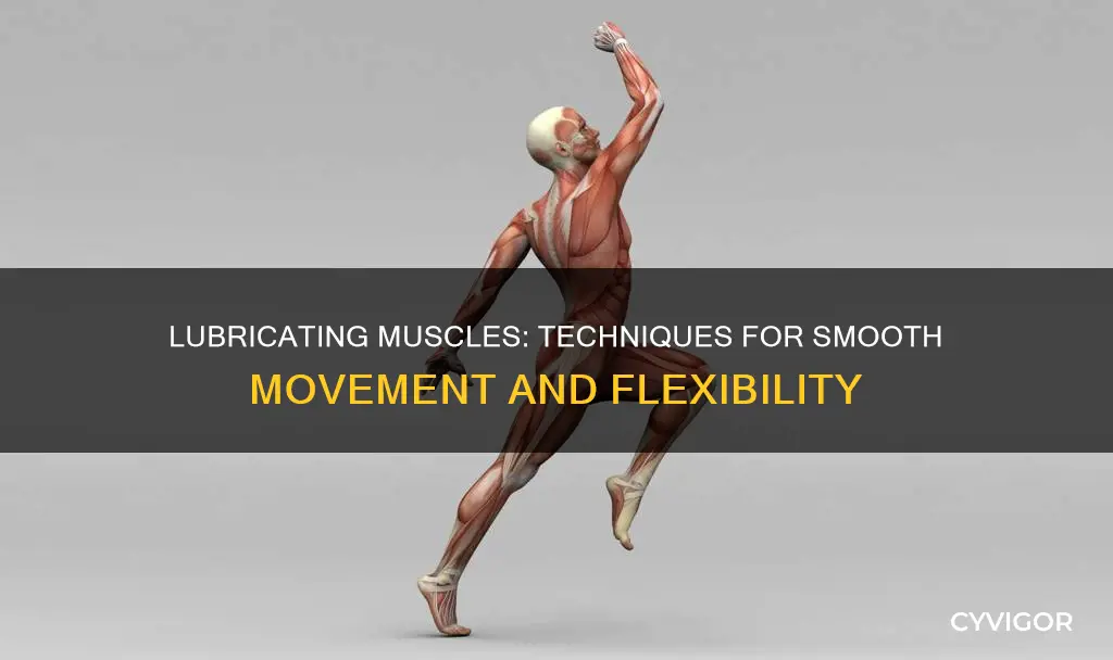 how to lubricate muscles