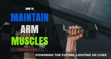 Effective Arm Muscle Maintenance: Tips for Strength and Tone