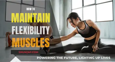Flexibility Training: Maintaining Agile Muscles for Life