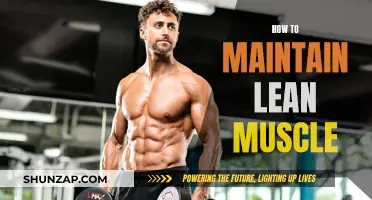 Building and Sustaining Lean Muscle: Expert Tips and Tricks