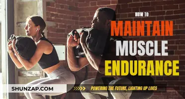 Maintain Muscle Endurance: Strategies for Long-Term Strength