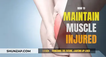 Muscle Injury Maintenance: Strategies for Recovery and Rehabilitation