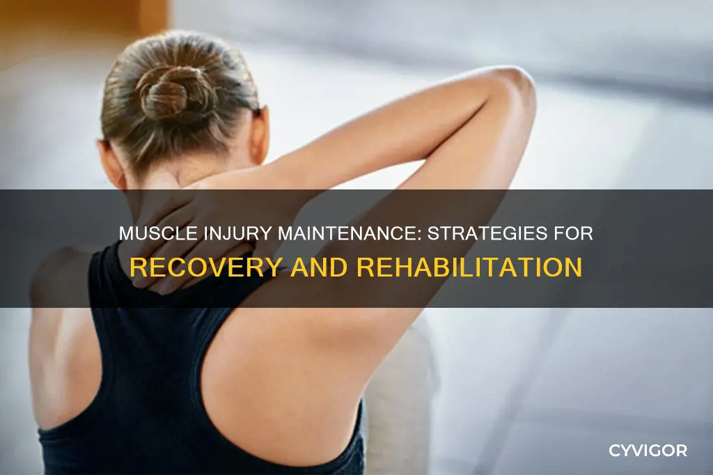 how to maintain muscle injured