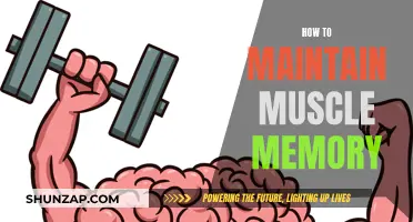 Mastering Muscle Memory: Tips for Maintaining Neural Pathways
